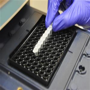 PCR Plates, Strips and Tubes